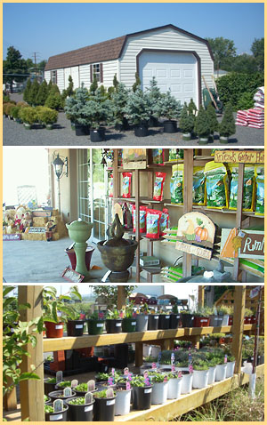 Garden Center - Wilkes Barre PA - Bizzy Beez Gifts - Garden Center - New seasonal items always arriving - ask what’s in stock!